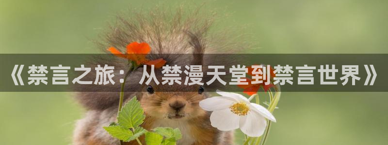 www.omofun.：《禁言之旅：从禁漫天堂到禁言世界》