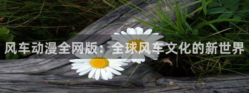 omofun动漫免费观看：风车动漫全网版：全球风车文化的新世界