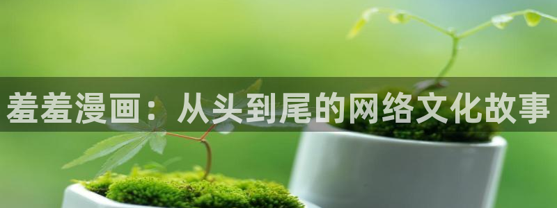 omofun缓存：羞羞漫画：从头到尾的网络文化故事
