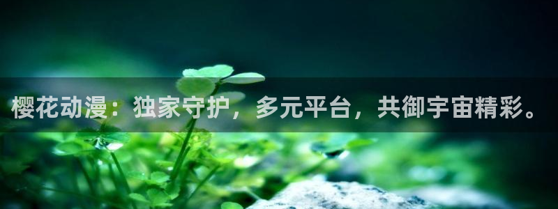 喵趣漫画正版入口：樱花动漫：独家守护，多元平台，共御宇宙精彩。