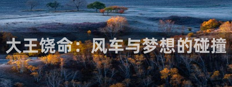 omofun下载官网：大王饶命：风车与梦想的碰撞