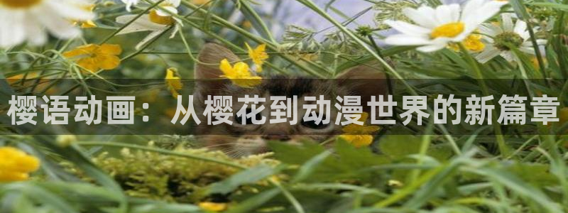 omofun网页入口：樱语动画：从樱花到动漫世界的新篇章