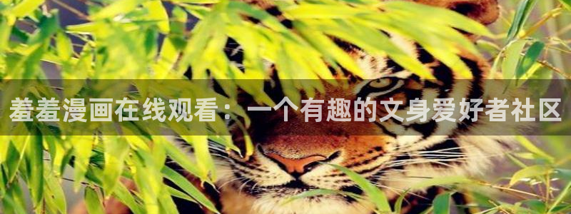 omofun电脑端：羞羞漫画在线观看：一个有趣的文身爱好者社区