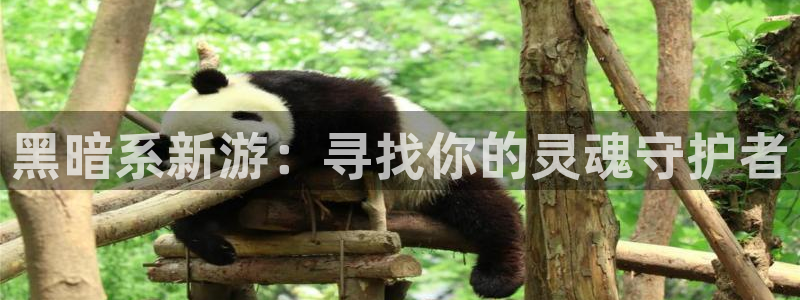 omofun官方网：黑暗系新游：寻找你的灵魂守护者
