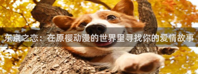 omofun.oni：东京之恋：在原樱动漫的世界里寻找你的爱情故事