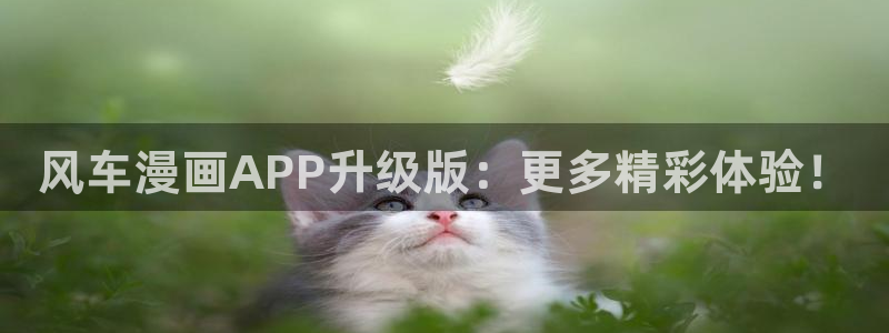 omofun正版官网下载：风车漫画APP升级版：更多精彩体验！