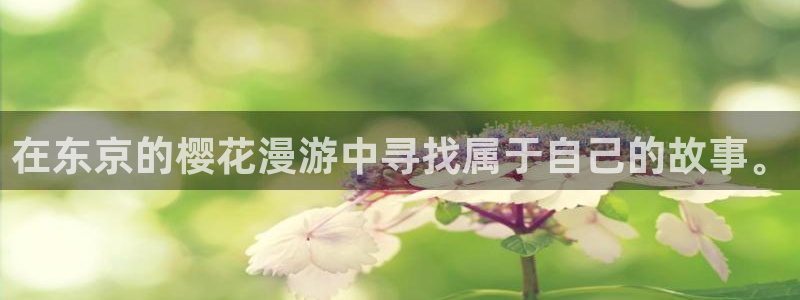 omofun电脑端：在东京的樱花漫游中寻找属于自己的故事。