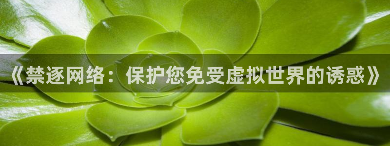 喵趣漫画正版下载：《禁逐网络：保护您免受虚拟世界的诱惑》