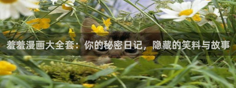 omofun老版本：羞羞漫画大全套：你的秘密日记，隐藏的笑料与故事